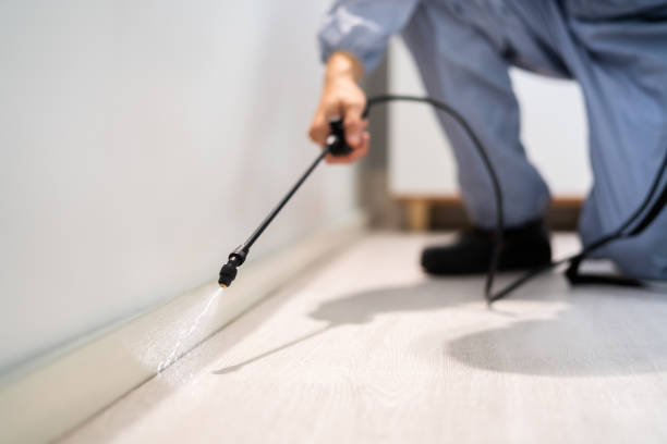 Licensed Fumigation Services service in Morongo Valley, CA - Nex Pest Control