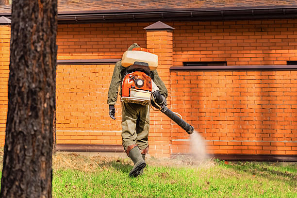 Top rated local Fumigation Services specialists in Morongo Valley, CA
